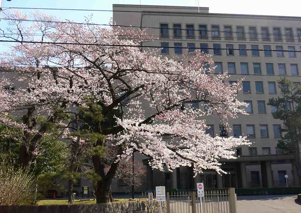 高等 裁判所 仙台