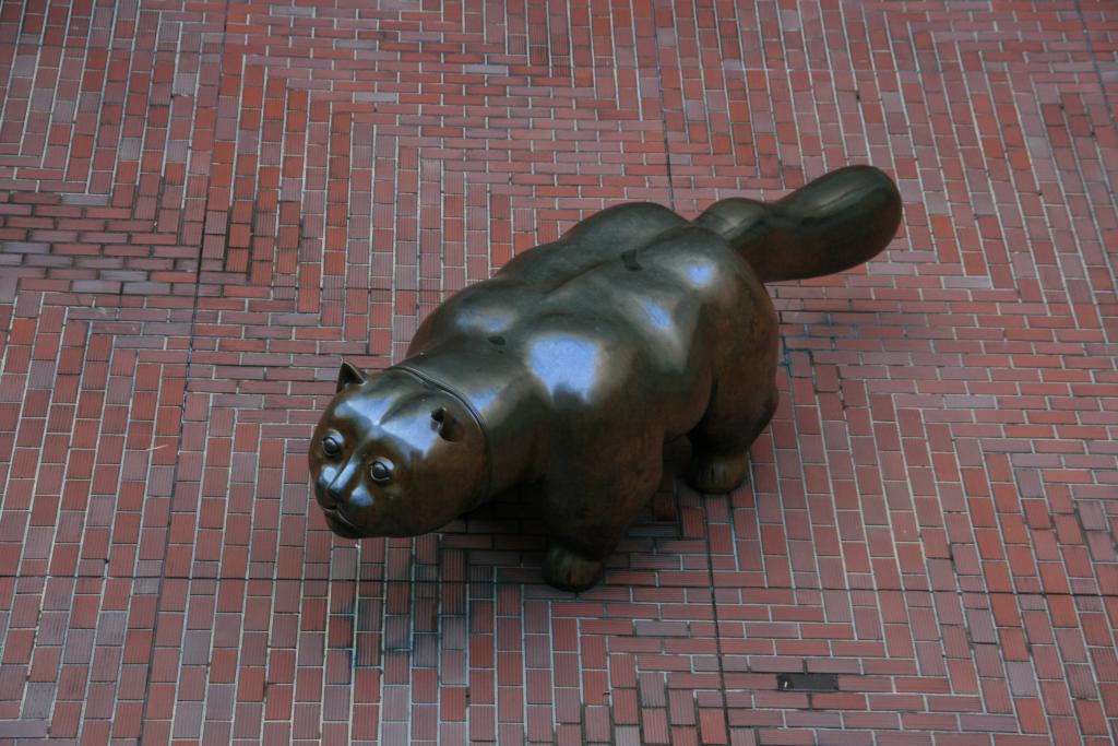 El Gato De Botero ボテロの猫 お星様のなんでも探検