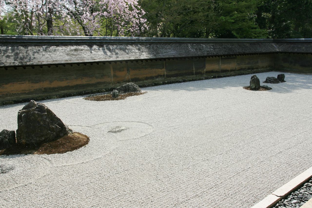 龍安寺 石庭 蹲踞 桜 お星様のなんでも探検