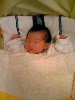 手をあげて寝るって ぜんりん