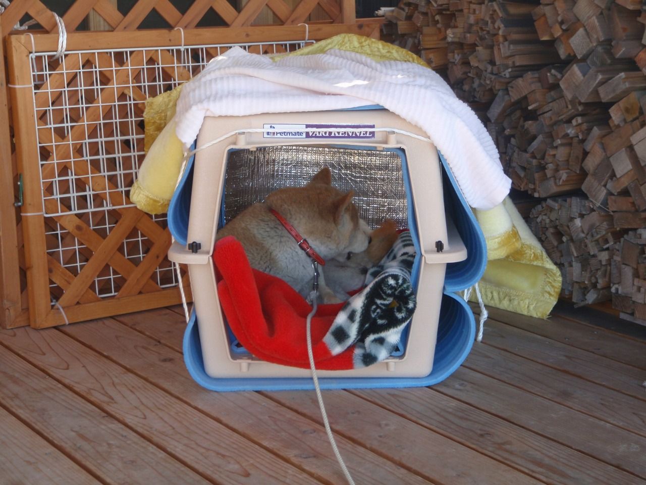 北の庭の片付け 仙里草の板倉の家