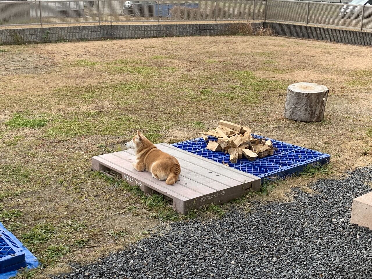 凍える寒さ 仙里草の板倉の家