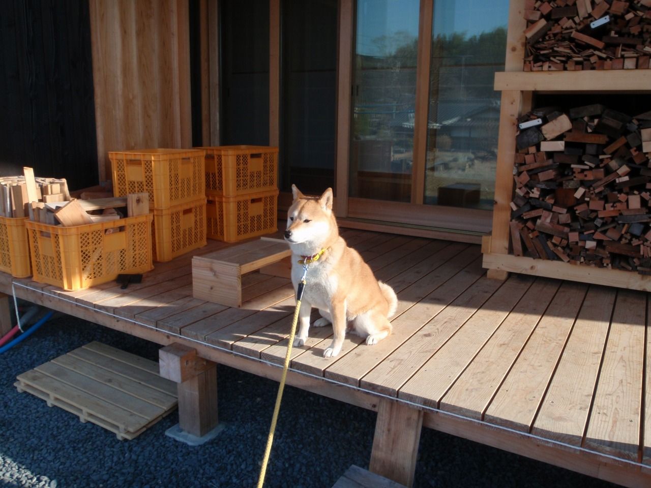 北の庭の片付け 仙里草の板倉の家