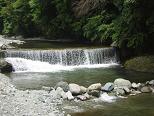 kawa