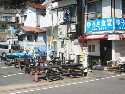 3633397d.jpg