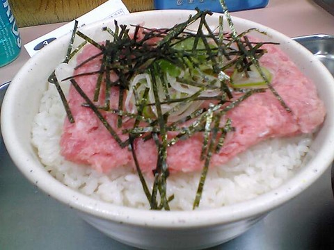akibaya_negitoro