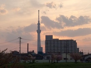 IMG_8306