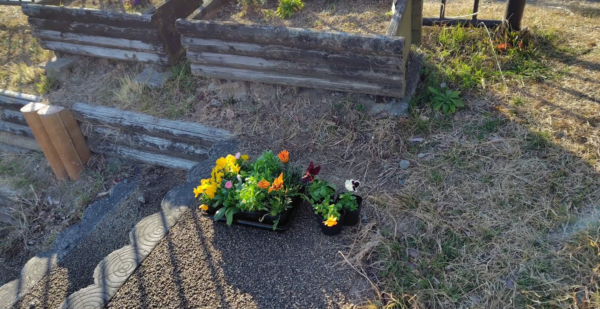 4ff681dd-564b-4793-944e-01df74efad47