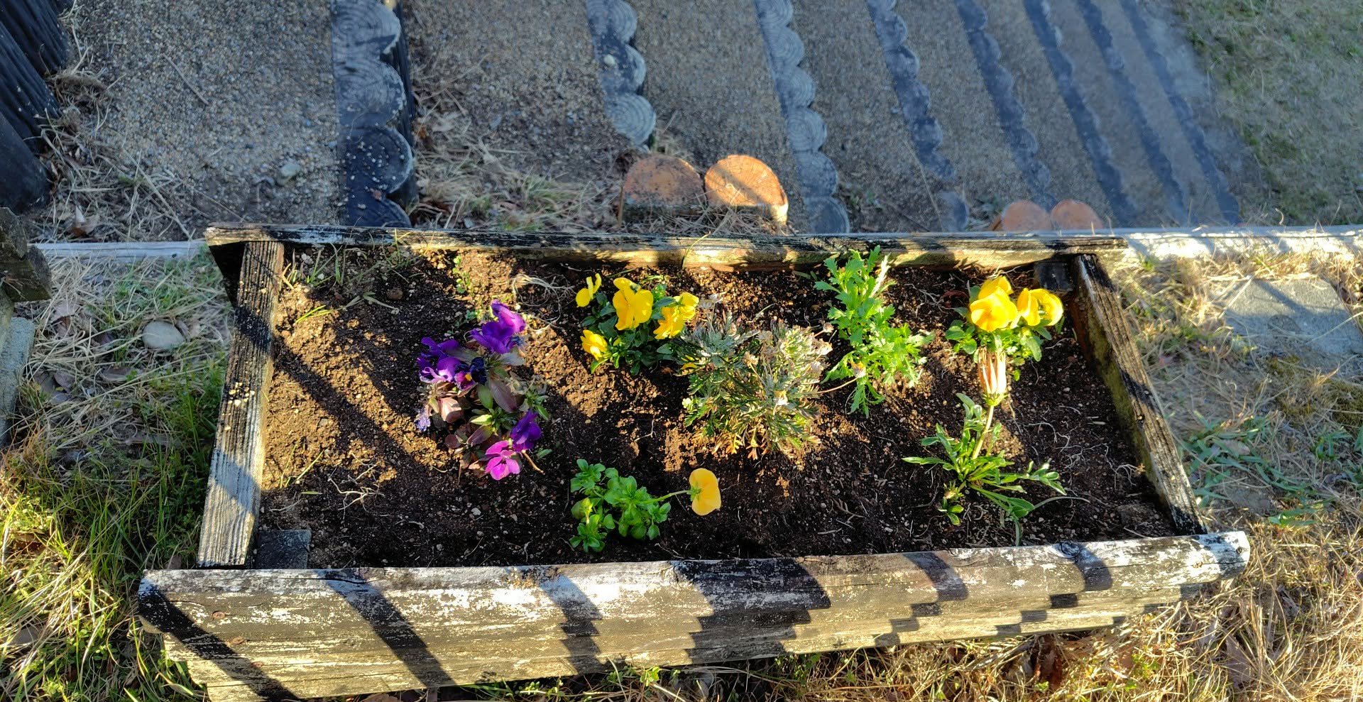 df7f7f8b-1359-4037-b555-9341be311462