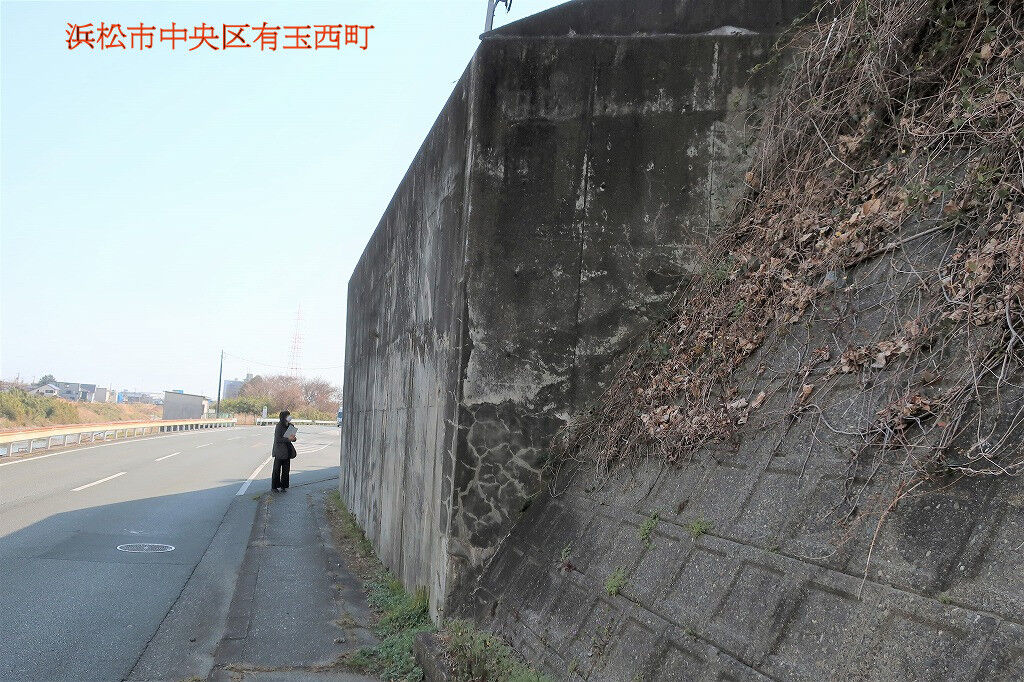 ����Ŵ��2022ǯ3��8�� (4)