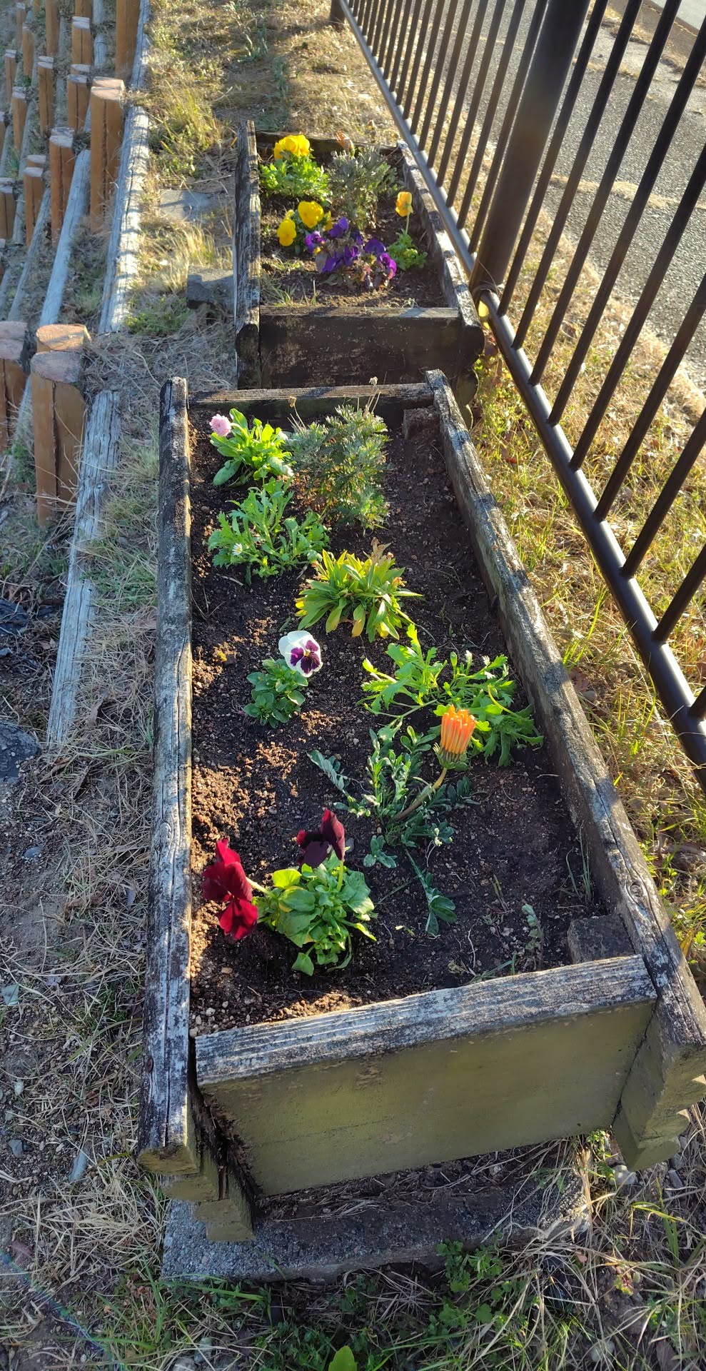 c996e7e3-c5df-4c6f-9fd2-381eab80d831