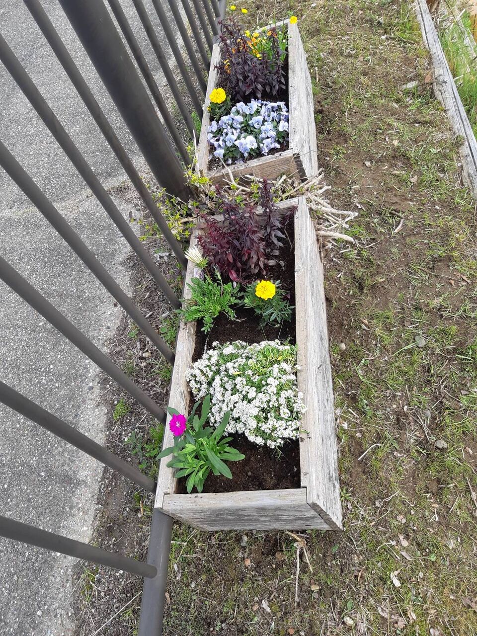 ˭����3��28�� (4)