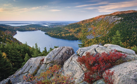 maine Acadia