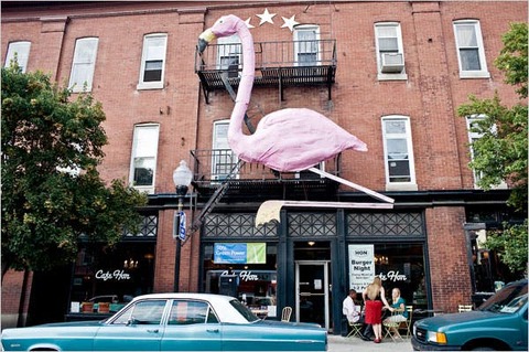 Hip Hampden Hip Hampden