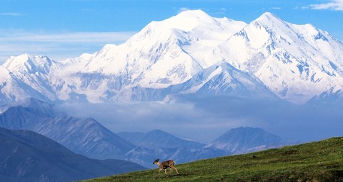 Vườn quốc gia & khu bảo tồn Denali, Alaska Vườn quốc gia & khu bảo tồn Denali, Alaska