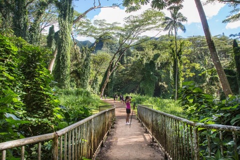 Thác Manoa: Oahu