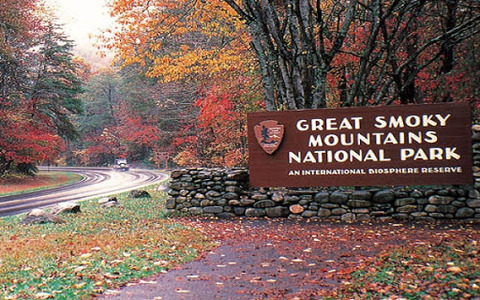 Công viên quốc gia Great Smoky Mountains