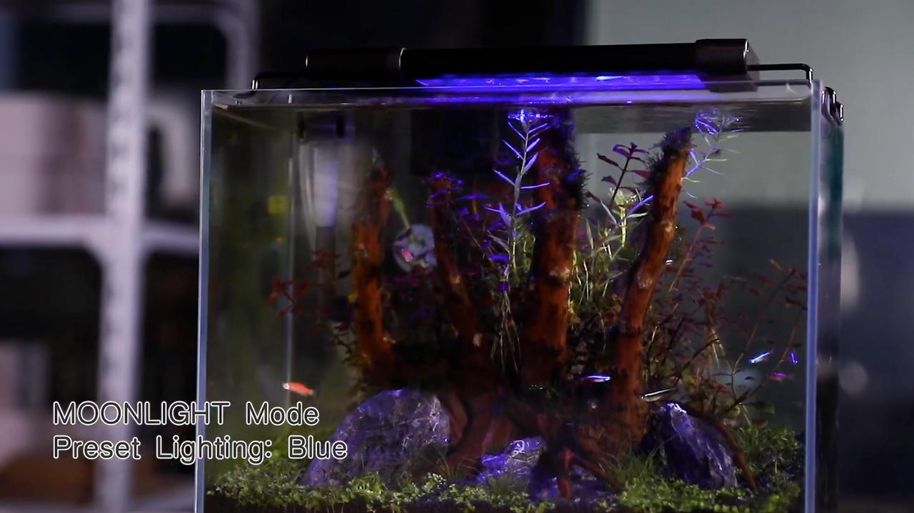 月光モードの Hygger プログラム可能なライト。