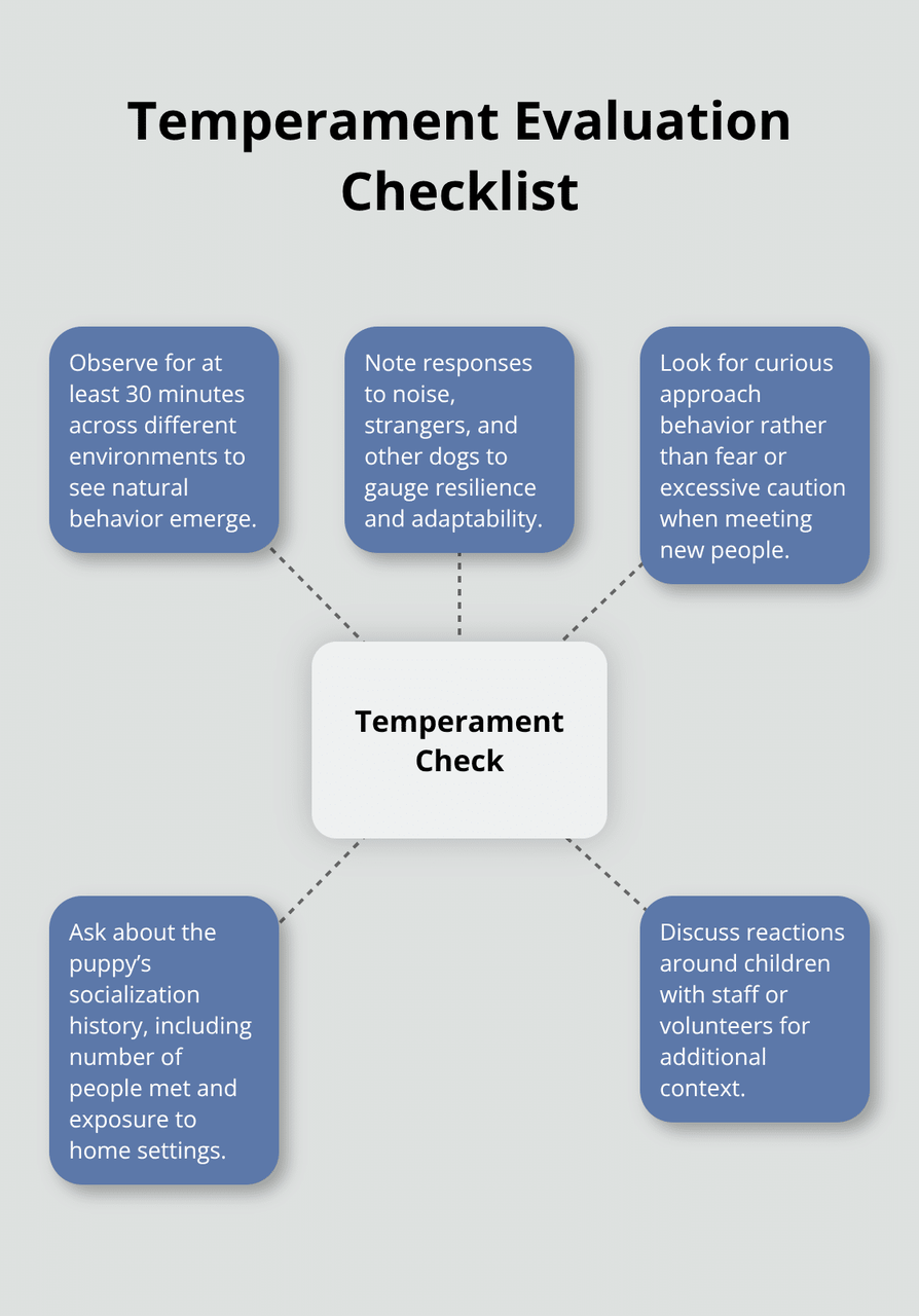 養子縁組前に黒パグの子犬の気質を評価する方法