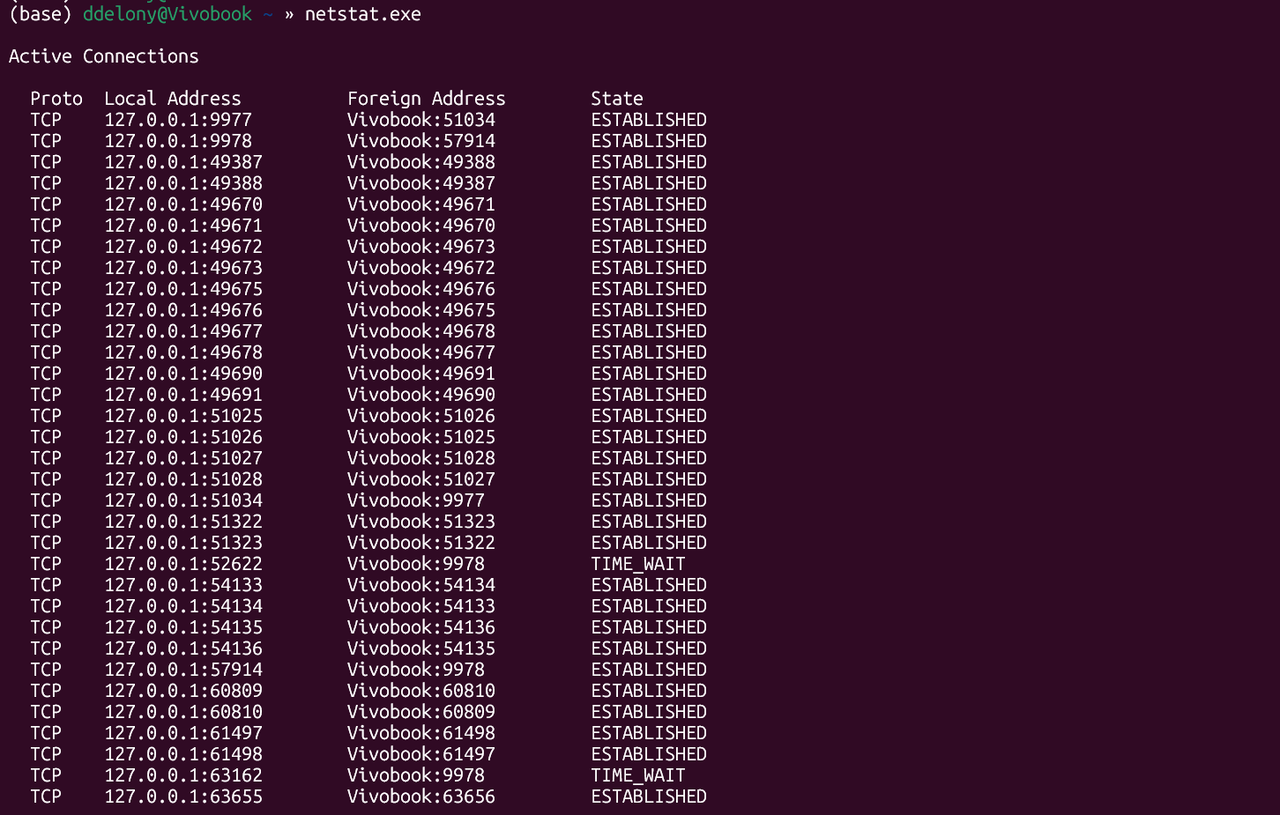 WIndows WSL ターミナルの netstat 出力。
