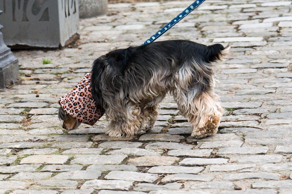 ISO 800, f/2.8, 1/500