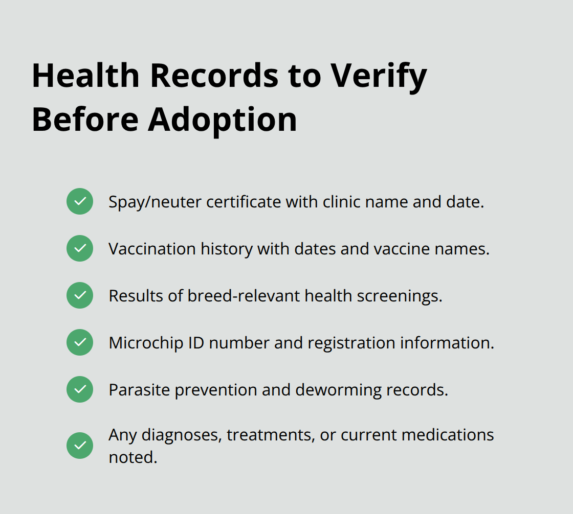 미국에서 잭 러셀 테리어를 입양하기 전에 요청해야 할 필수 수의학 문서 체크리스트