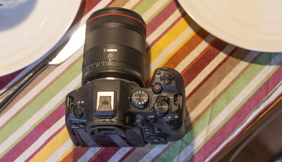 캐논의 EOS R6 III 