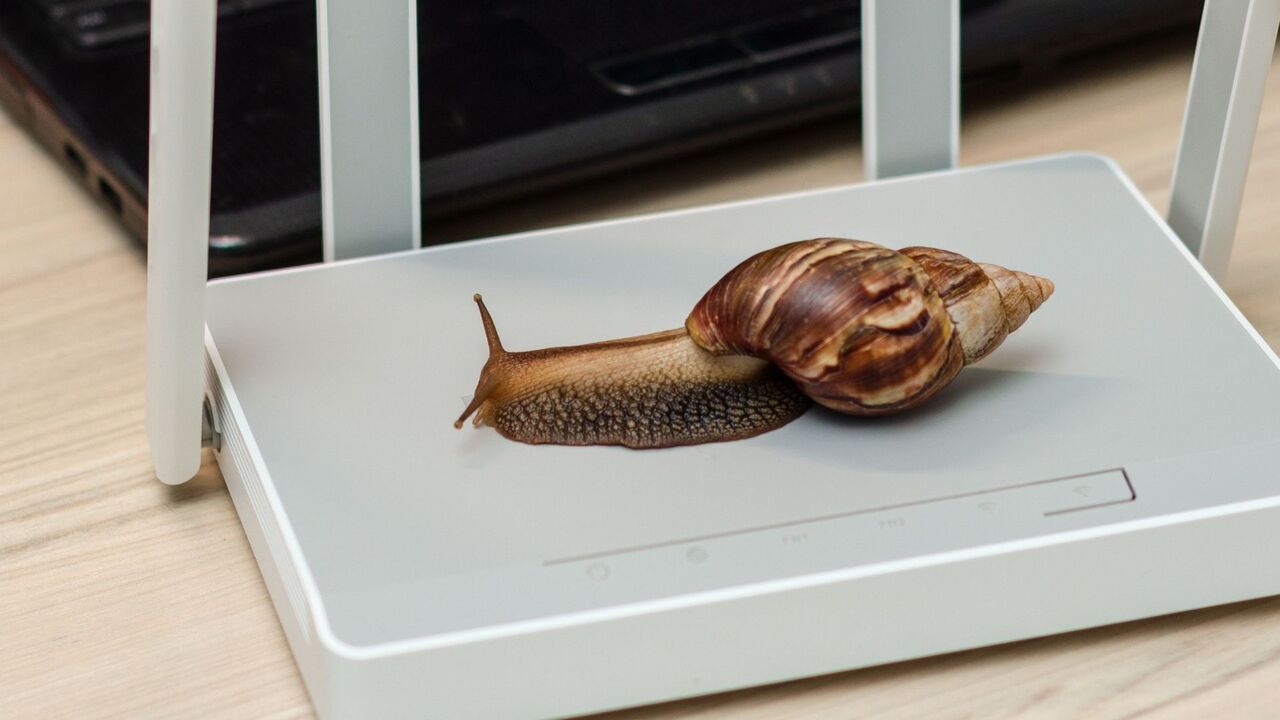 Wi-Fiルーターの上をカタツムリが這っています。