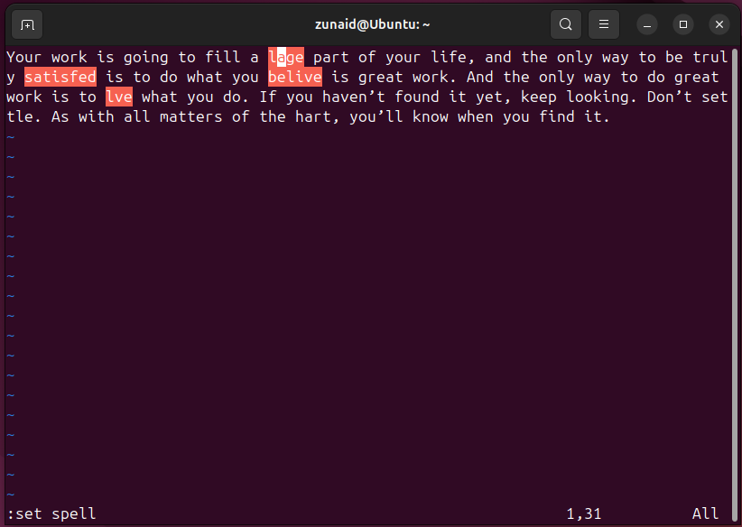 Vim のテキスト内でスペルミスのある単語が強調表示されます。