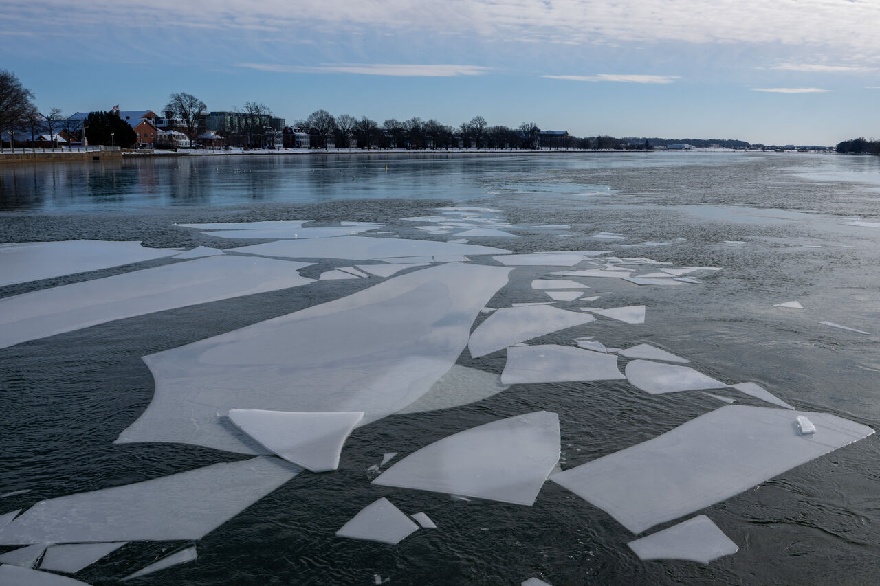 깨진 얼음판이 강물에 떠 있고, 배경에는 강둑에 건물과 나무가 보입니다.