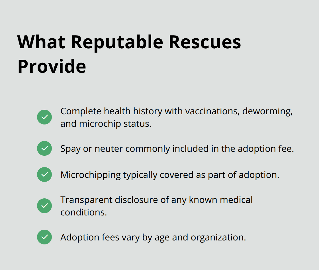 米国で評判の良い黒パグ保護団体が通常提供する主な内容 - 養子縁組用の黒パグの子犬