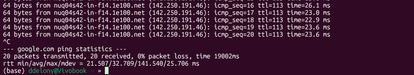 Ctrl + cでPingを停止する
