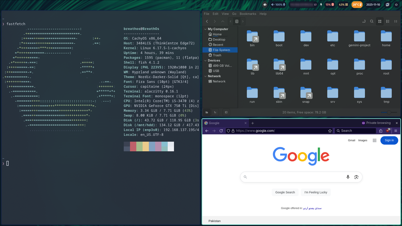ハイプラランドのタイル張りの窓。