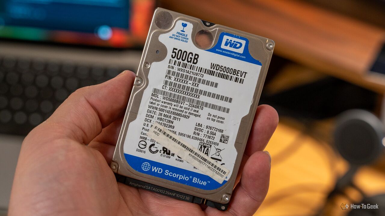 手に持っている 500GB Western Digital WD Blue 2.5 インチ ハード ドライブ。