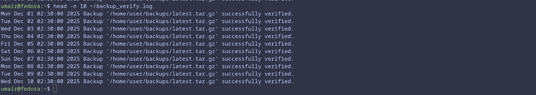 バックアップ検証スクリプトのログ