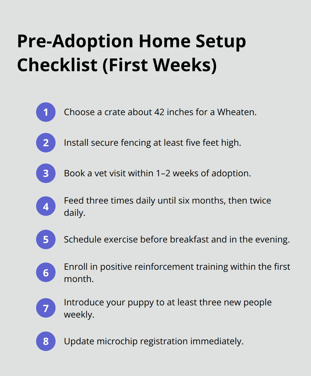 미국의 Wheaten Terrier 강아지를 위한 초기 집 설정 및 루틴에 대한 간략한 체크리스트 - Wheaten Terrier 강아지 입양