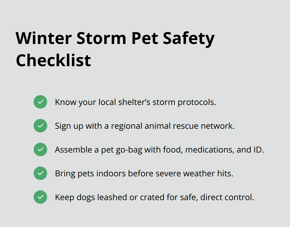 米国の冬の嵐の際に犬の安全を守るための実行可能な手順のチェックリスト。 - 犬のニュースの見出し