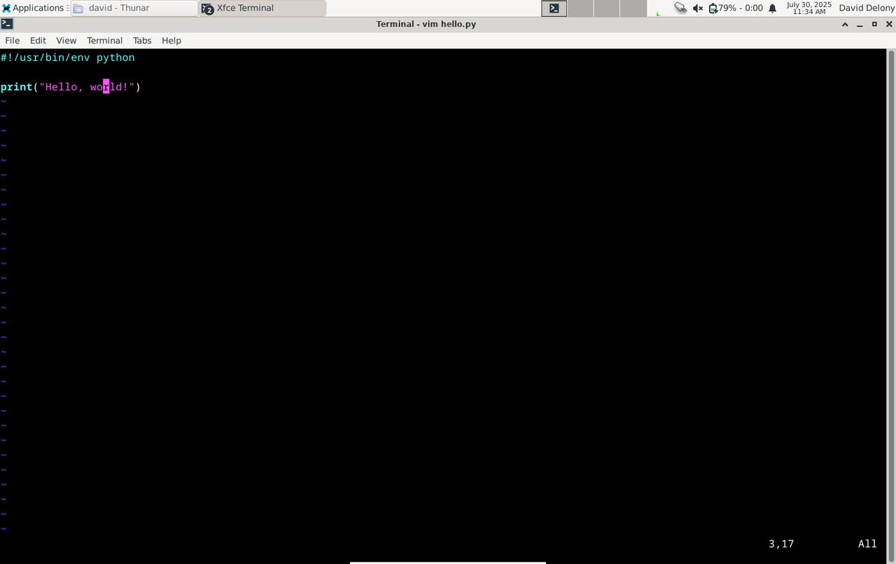 Python の編集 "こんにちは世界！" Linux ターミナル ウィンドウで Vim のプログラムを実行します。