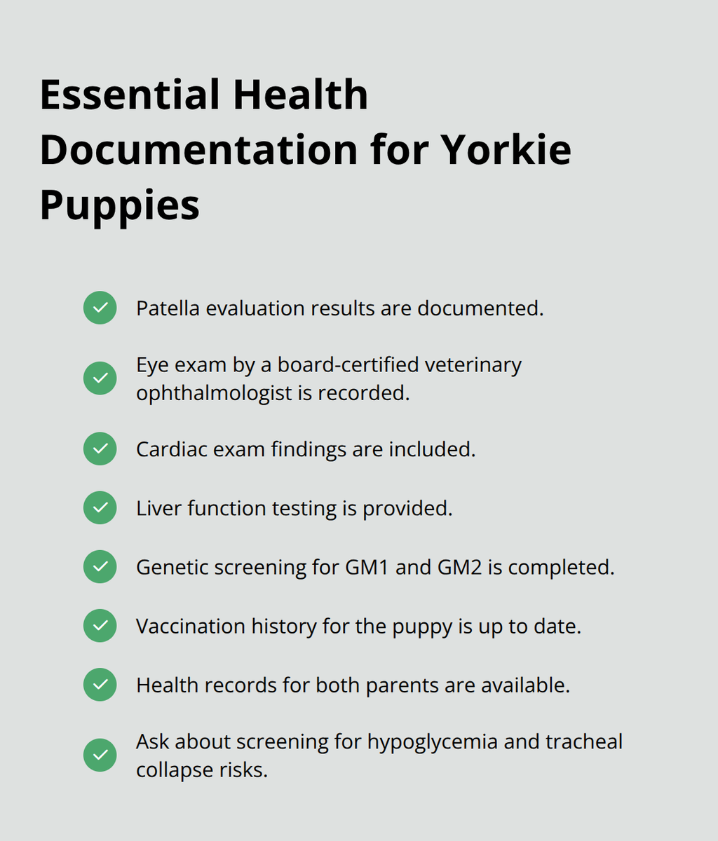 입양 전 확인해야 할 건강 기록 및 검사 체크리스트 - 요크셔 테리어 강아지 입양
