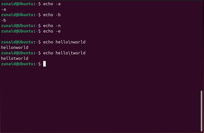エスケープ シーケンスに関する echo コマンドの問題のある動作を示します。