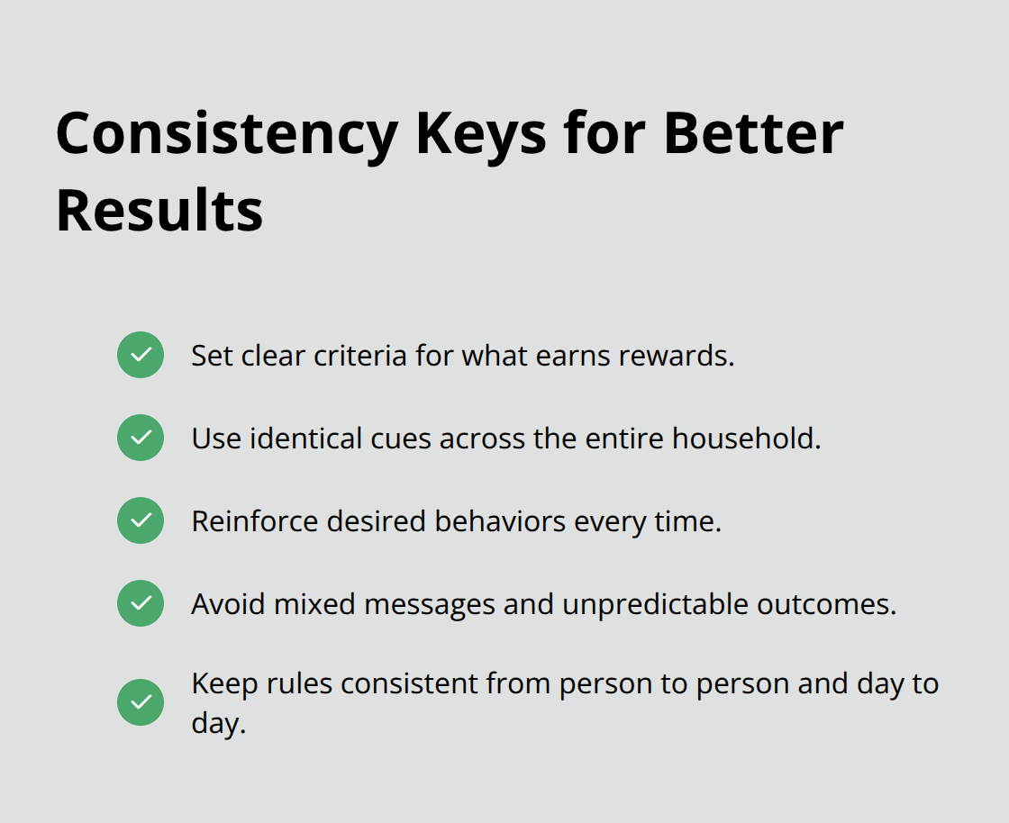 개 훈련을 위한 필수 일관성 관행을 강조하는 체크 표시 목록 - 개 행동 문제를 처리하는 방법