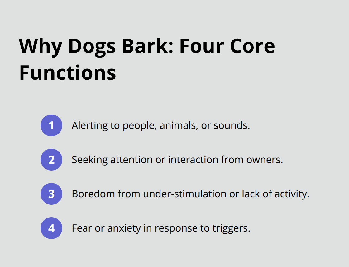 吠える主な機能としての警戒、注意喚起、退屈、恐怖をまとめたコンパクトなリスト - 犬の行動上の問題に対処する方法