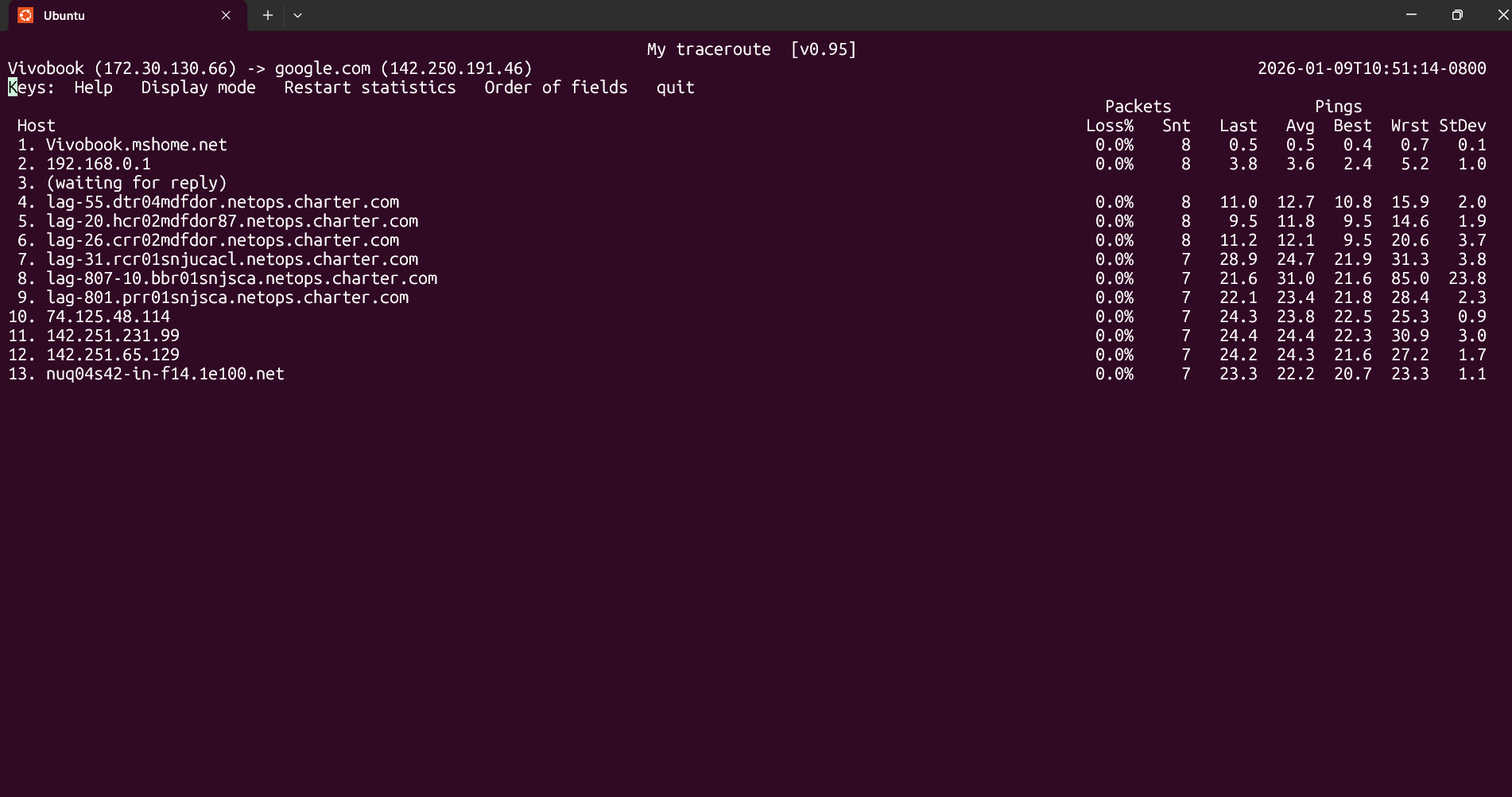 WSL ターミナルの google.com の MTR。