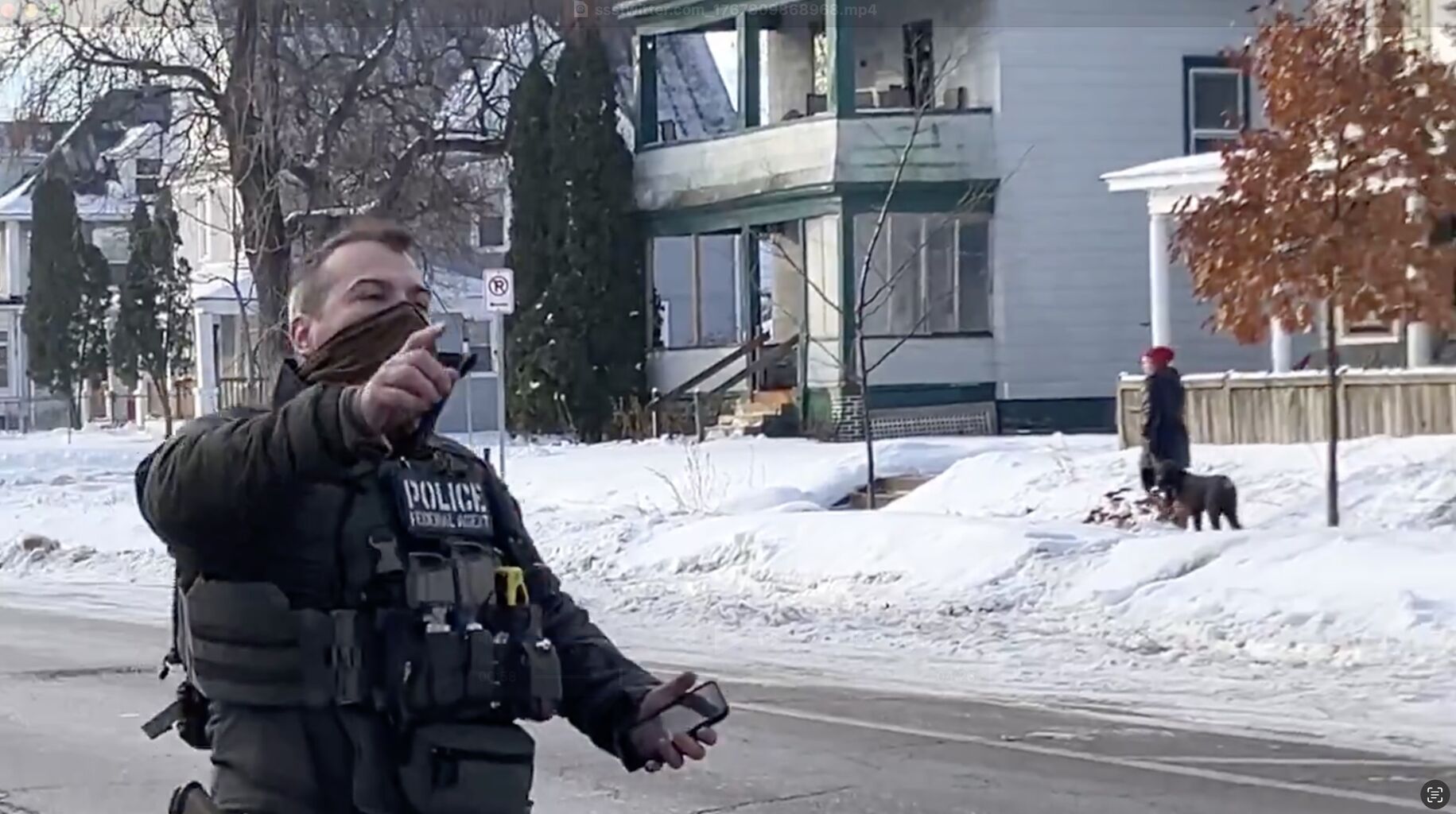 미니애폴리스 ICE 총격 사건