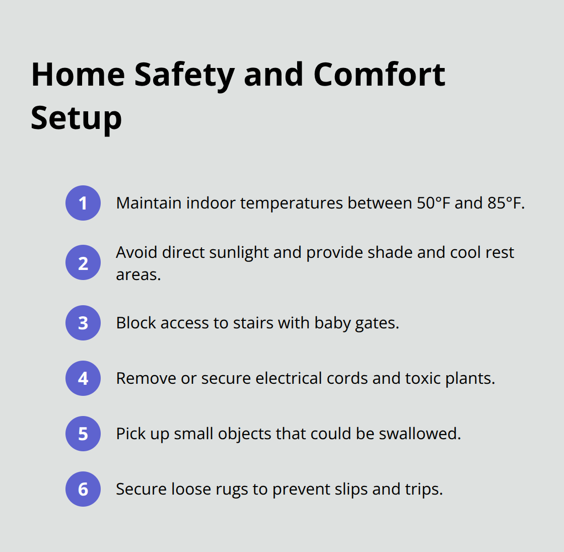 黒パグの子犬のために家を準備するための重要なステップ - 養子縁組のための黒パグの子犬