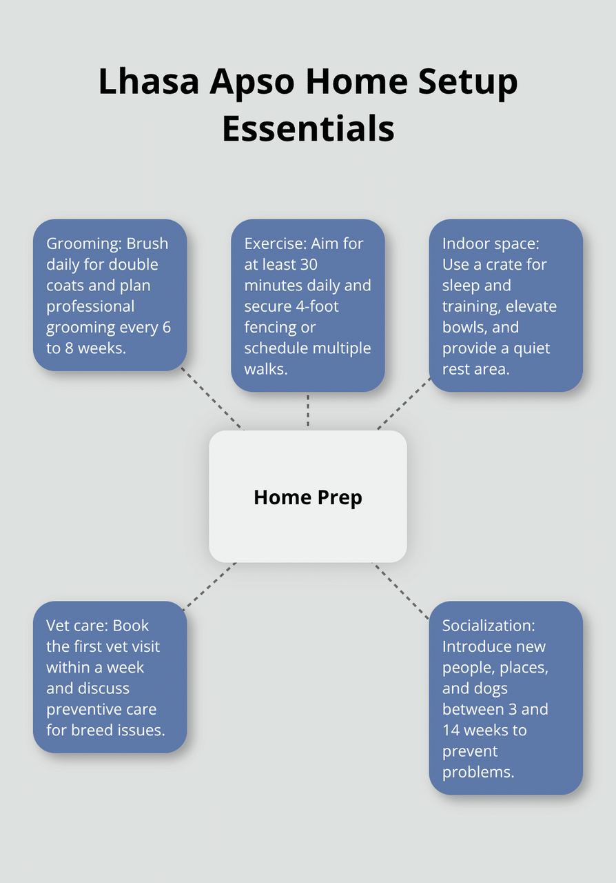 ラサ アプソの子犬を自宅に迎えるための 5 つの準備エリアを示すハブアンドスポークのビジュアル - ラサ アプソの子犬の養子縁組