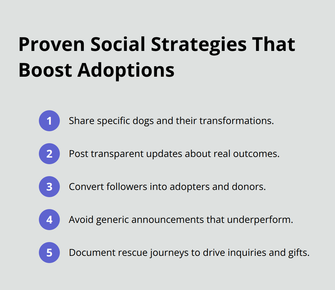 米国の保護施設での犬の引き取りと寄付を増やすソーシャル メディアの実践のコンパクトなリスト。