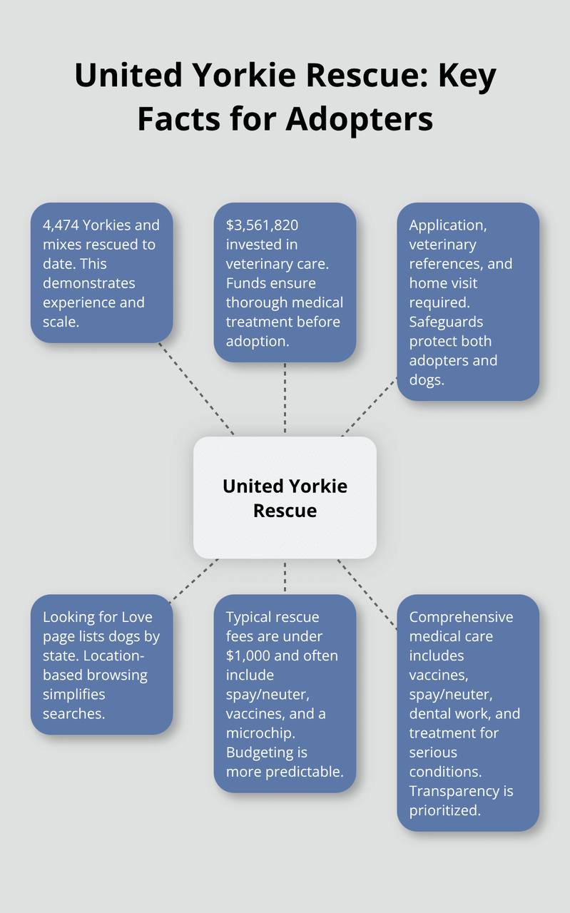 United Yorkie Rescue의 영향 및 입양 표준 스냅샷 - 요크셔 테리어 강아지 입양