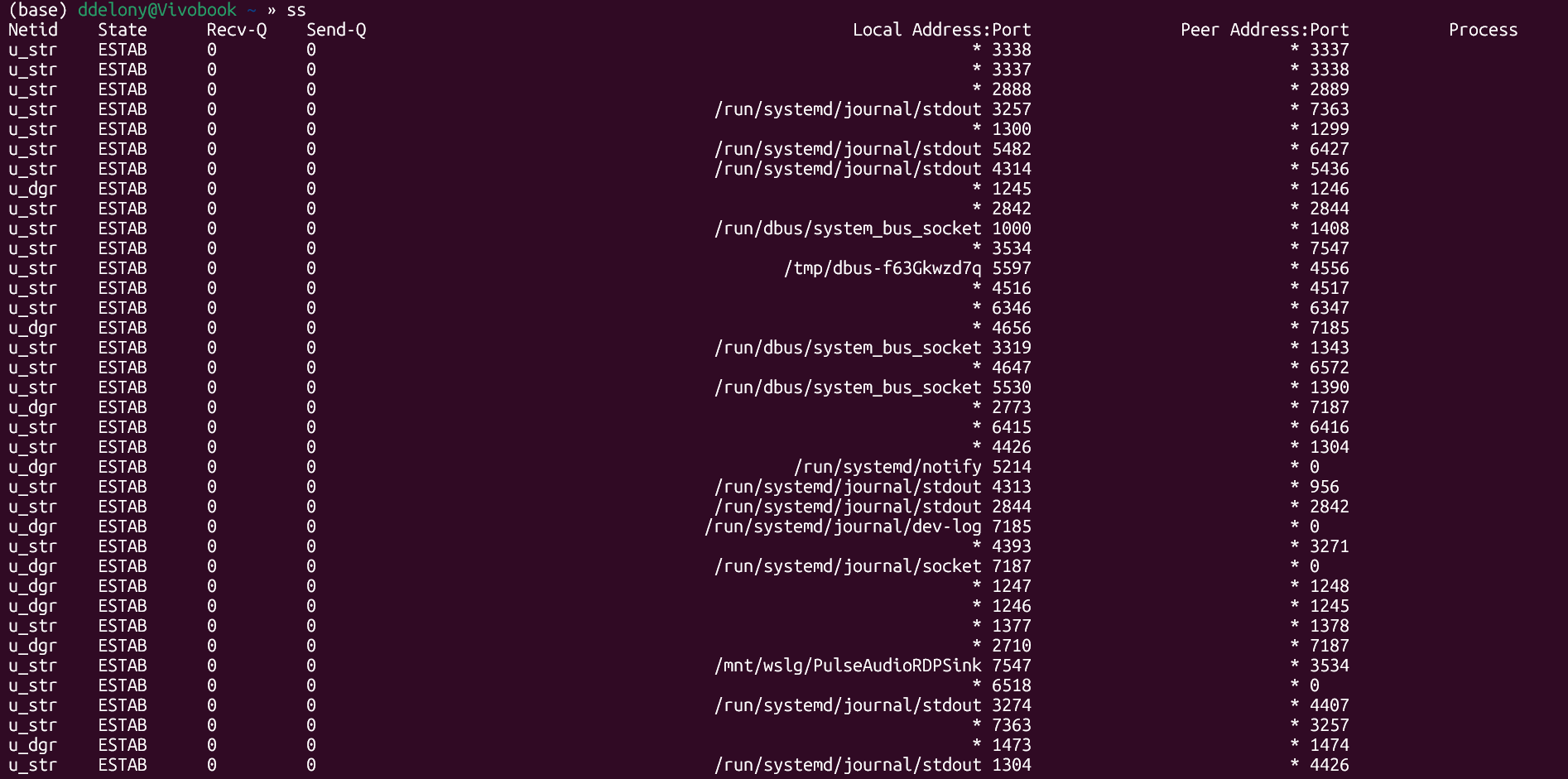 WSL ターミナルでの ss コマンドの出力。