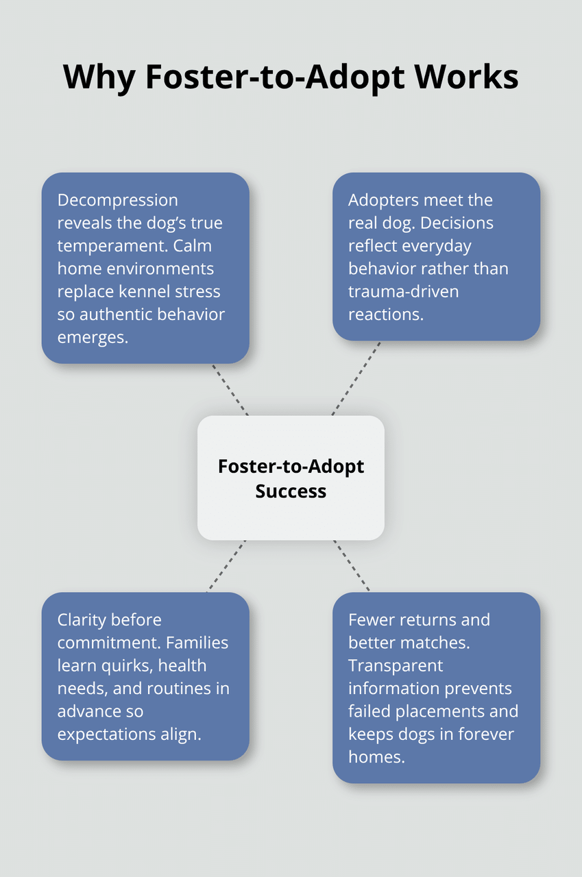 養子縁組プログラムが成功する主な理由 - 養子縁組への養子縁組